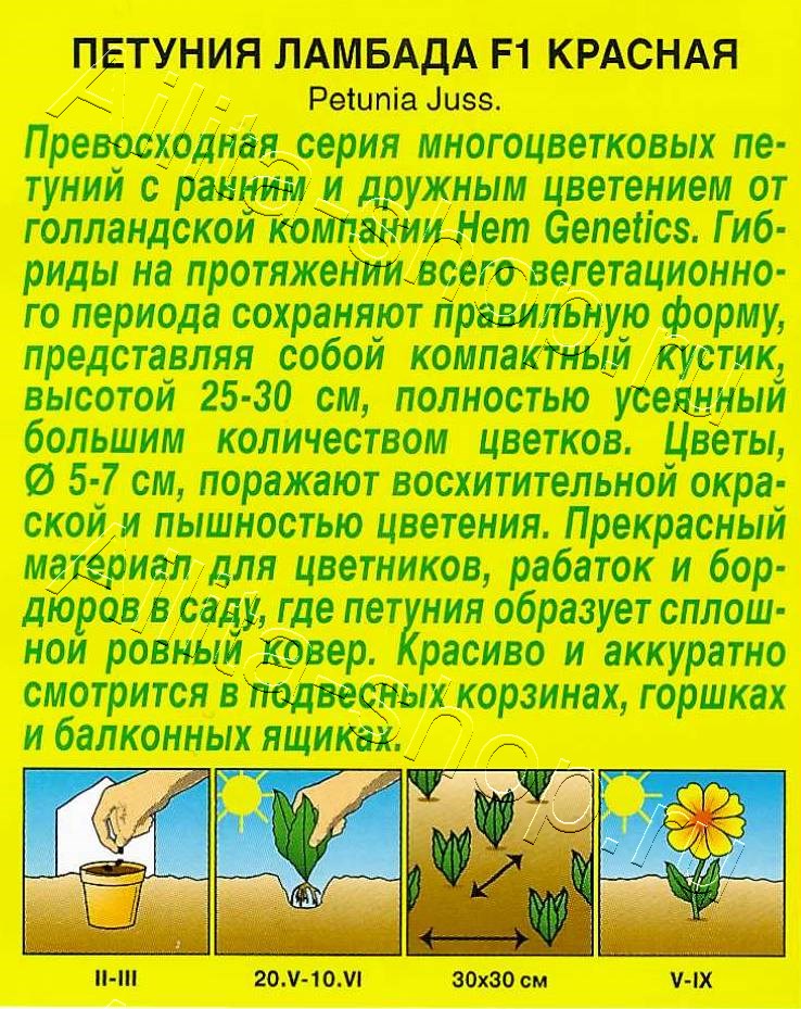 Петуния Ламбада F1 красная многоцветковая 7шт