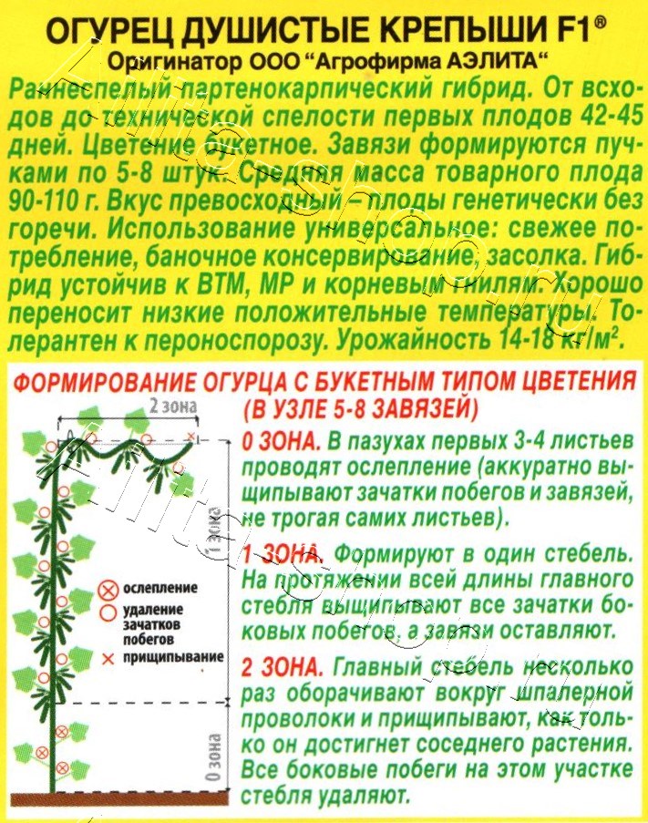Огурец Душистые крепыши F1 10шт