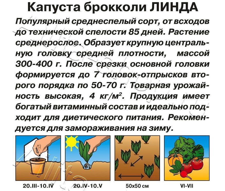 Капуста брокколи Линда 0,3г