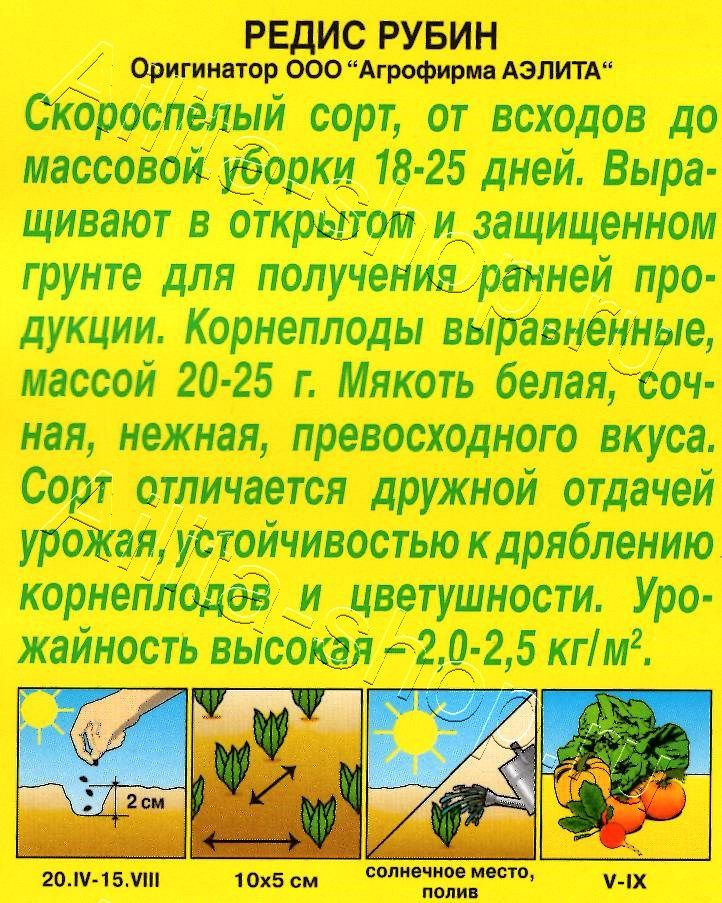 Редис Рубин 3г