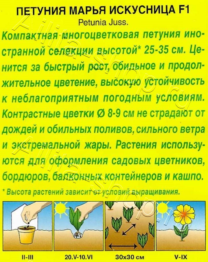 Петуния Марья Искусница F1 многоцветковая 7шт