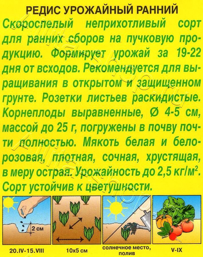 Редис Урожайный ранний 3г