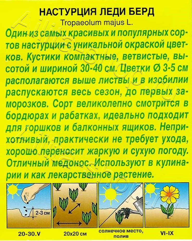 Настурция Леди берд 1г