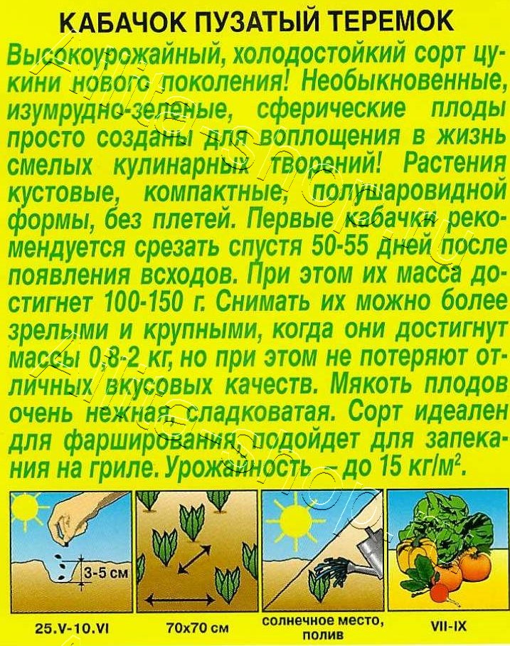 Кабачок Пузатый теремок 1г