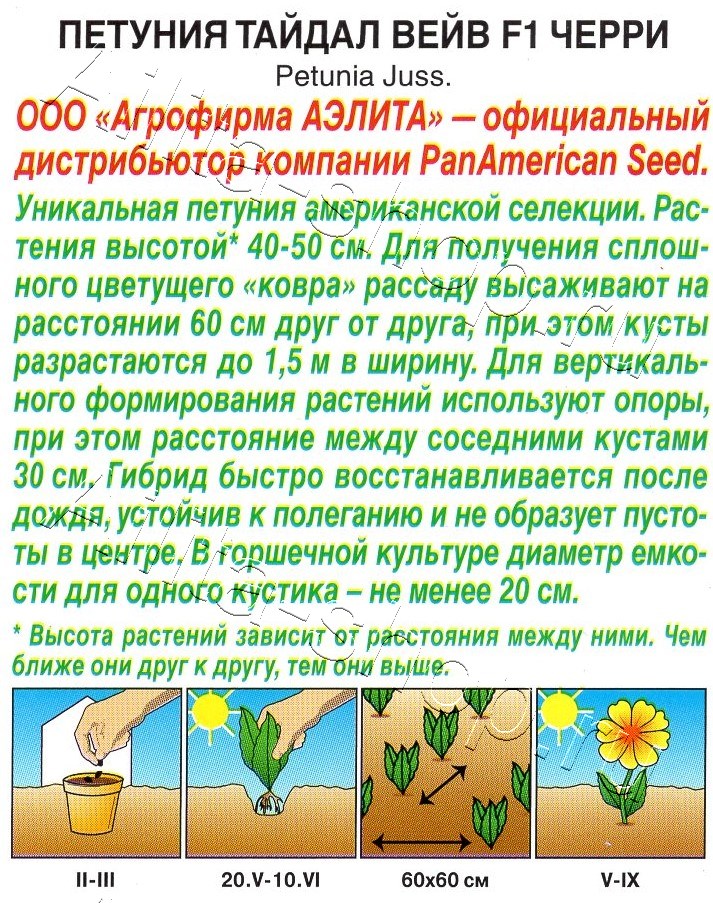 Петуния Тайдал Вейв F1 черри 4шт