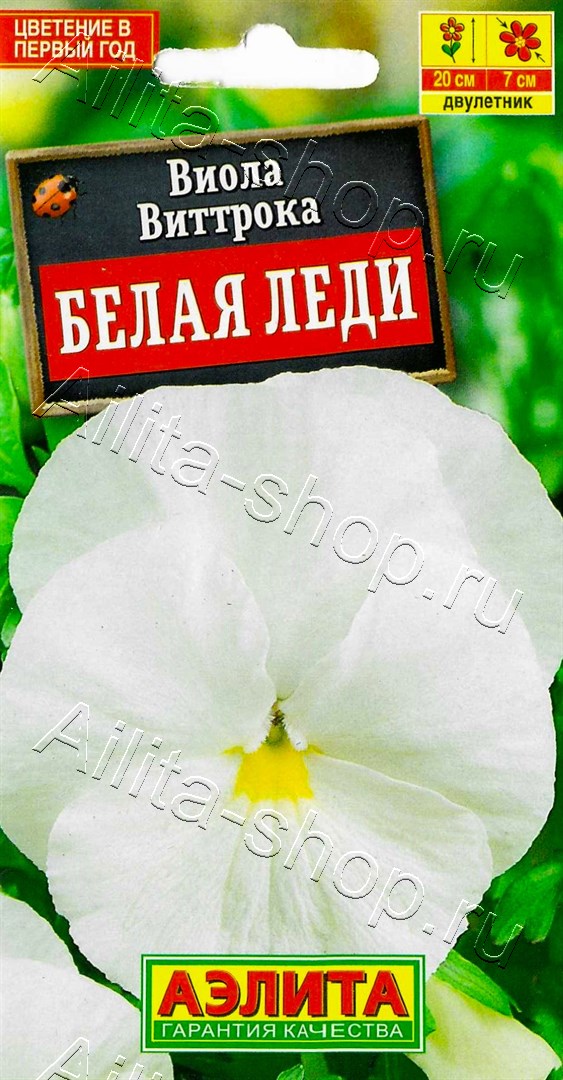 Виола Белая леди 20шт