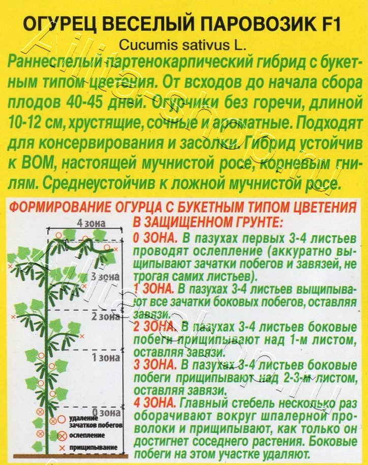 Огурец Веселый паровозик F1 10шт