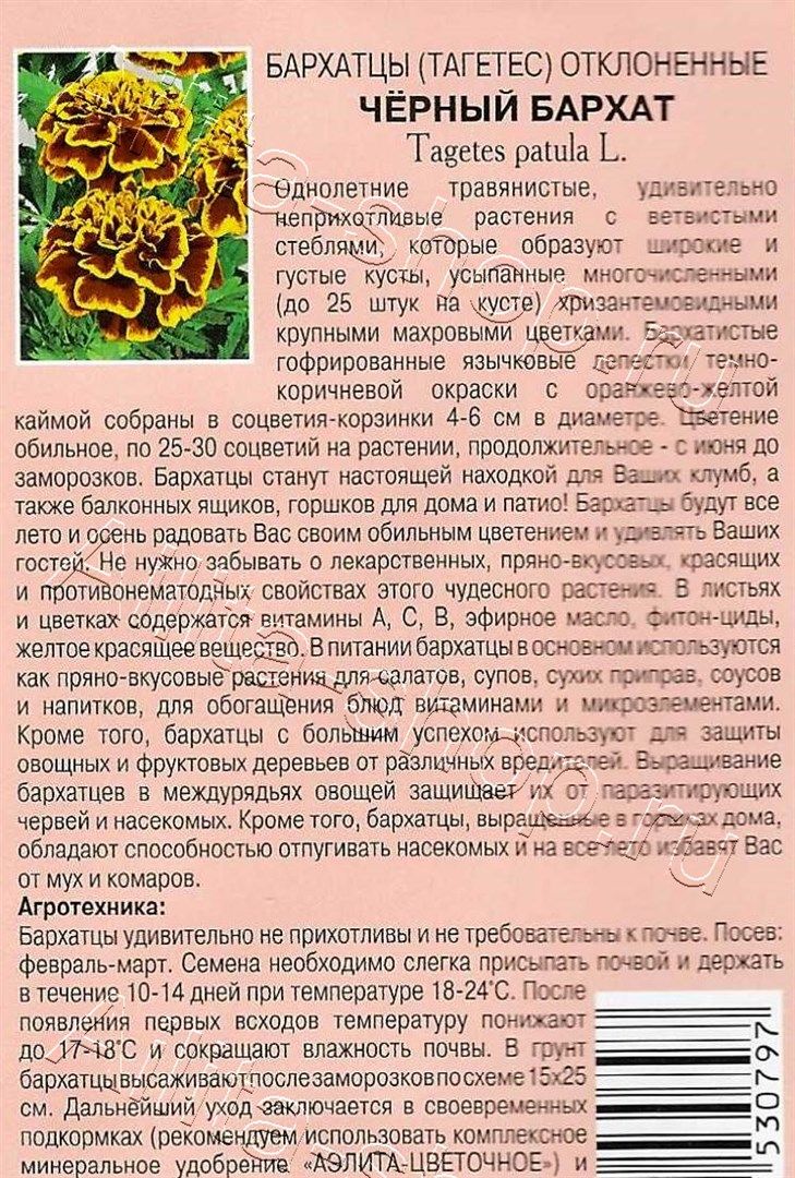 Бархатцы Черный бархат отклоненные 0,1г 