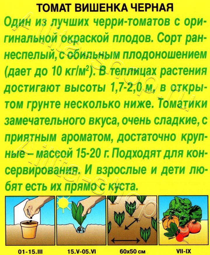 Томат Вишенка черная 20шт