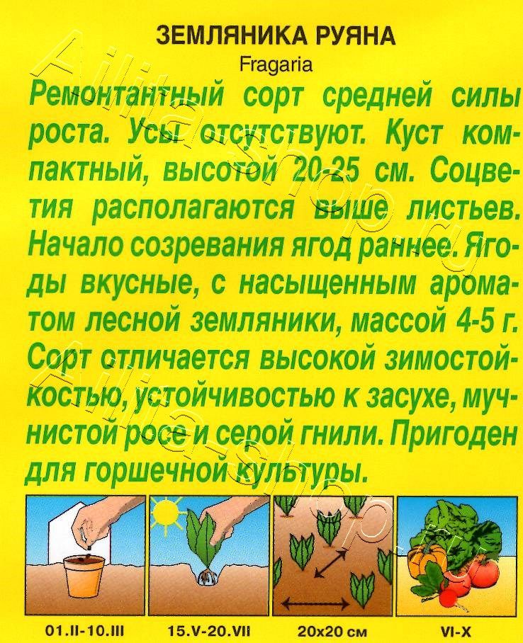 Земляника Руяна альпийская 0,04г