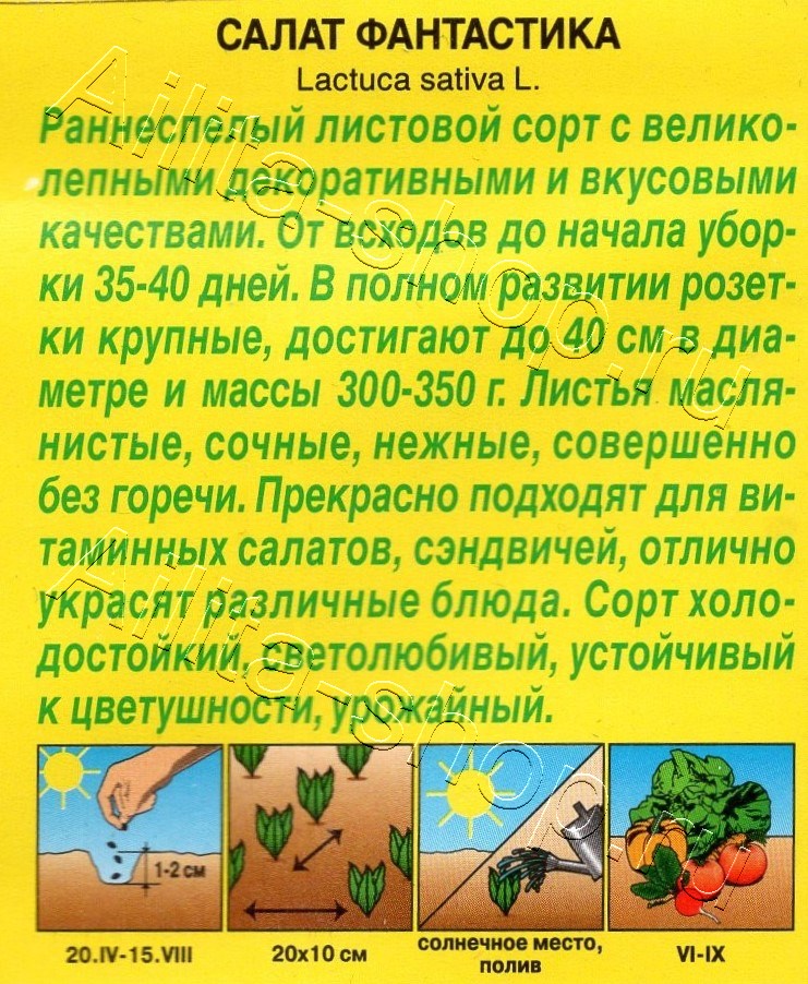 Салат Фантастика 0,5г