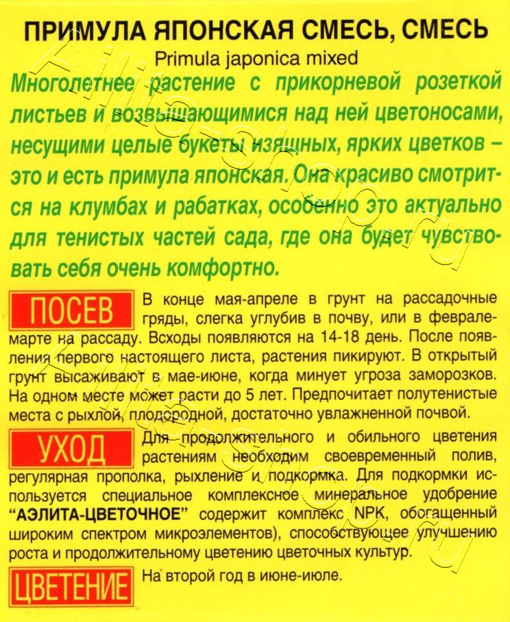 Примула японская, смесь окрасок 20шт