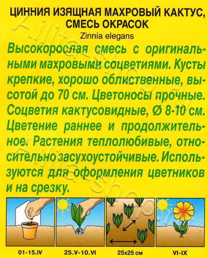 Цинния Махровый кактус, смесь окрасок 0,3г