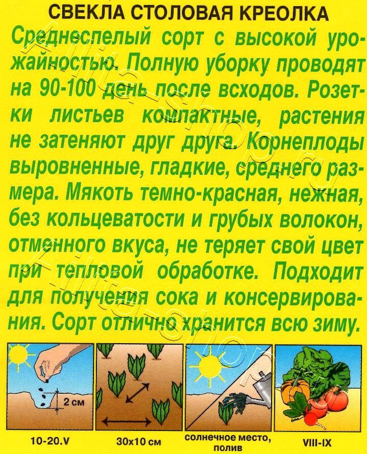 Свекла столовая Креолка 2г