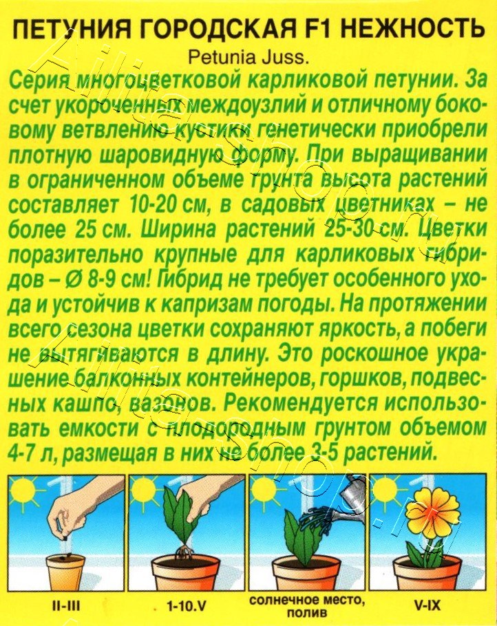 Петуния Городская F1 нежность 7шт