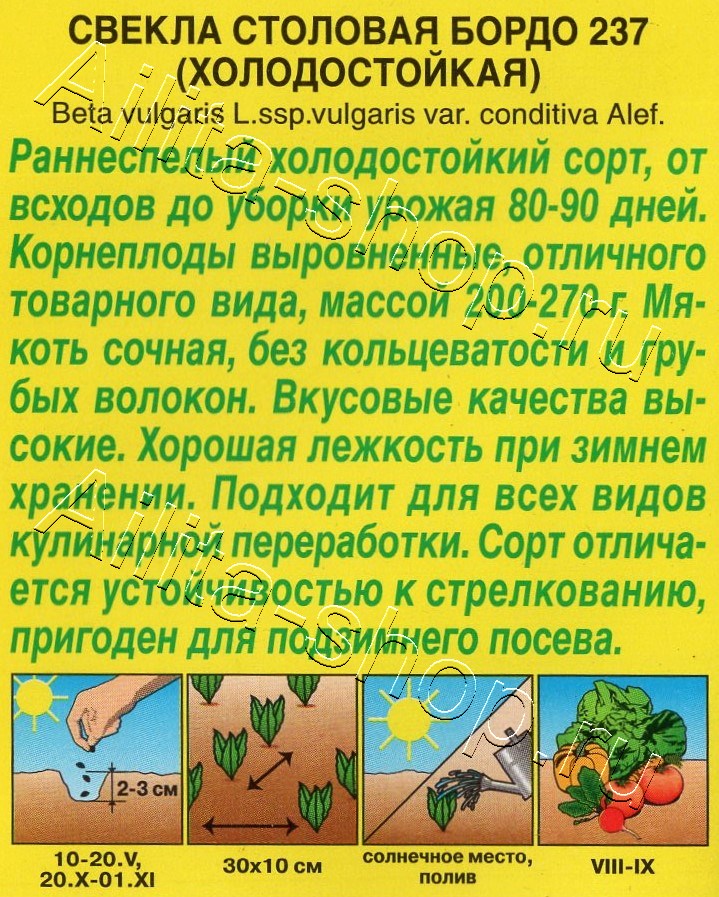 Свекла столовая Бордо 237 (холодостойкая) 3г