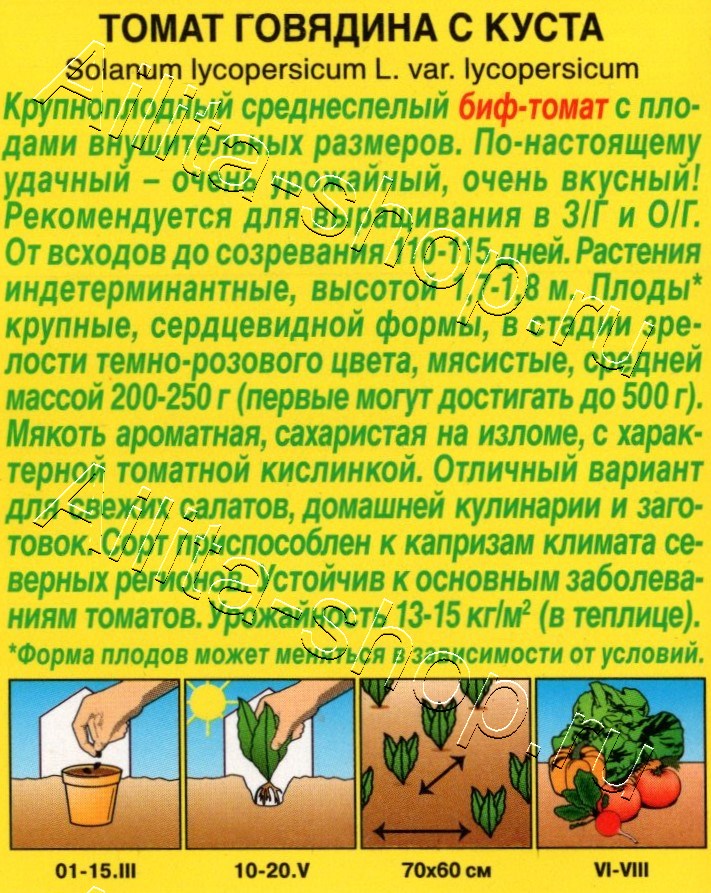 Томат Говядина с куста 15шт