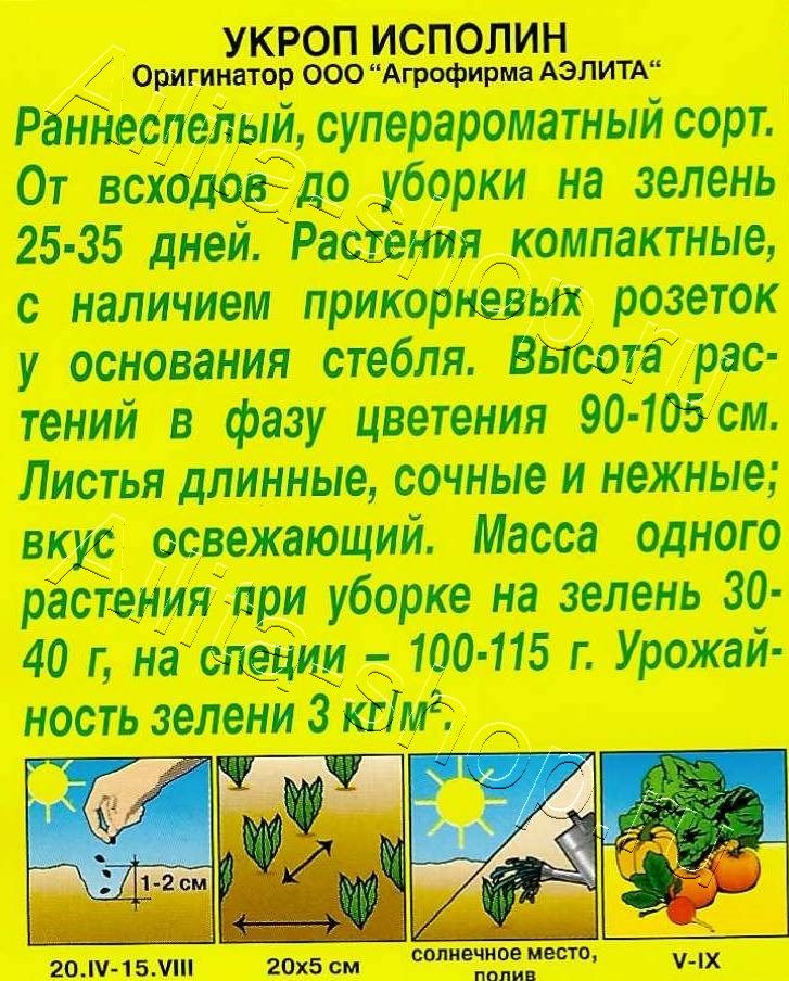 Укроп Исполин 3г