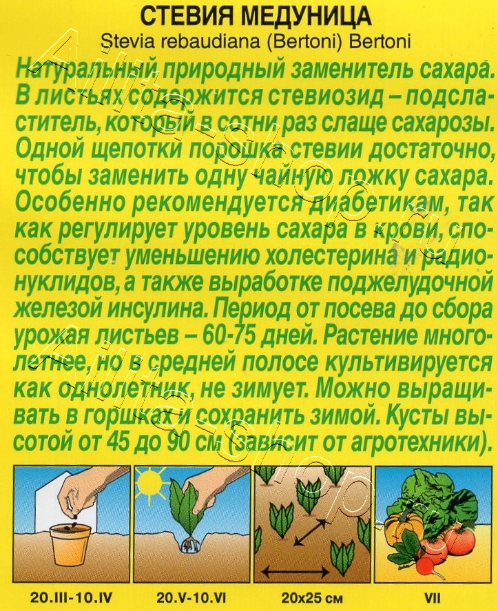 Стевия Медуница 7шт