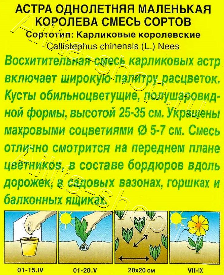 Астра Маленькая королева, смесь окрасок 0,2г