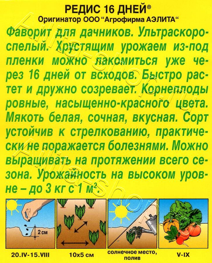 Редис 16 дней 2г