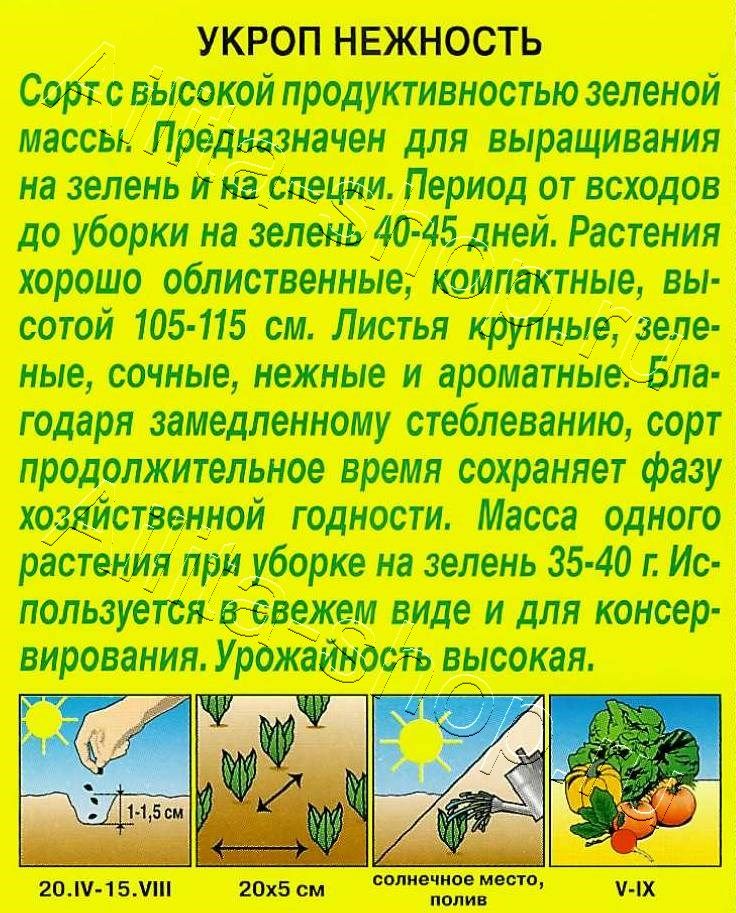 Укроп Нежность 3г