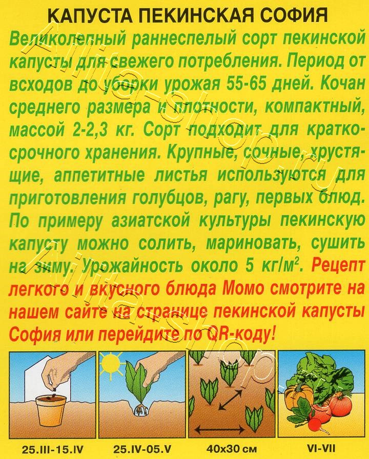 Капуста Пекинская София 0,3г