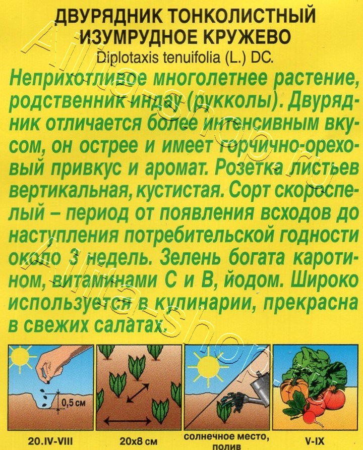 Двурядник тонколистный Изумрудное кружево 0,3г