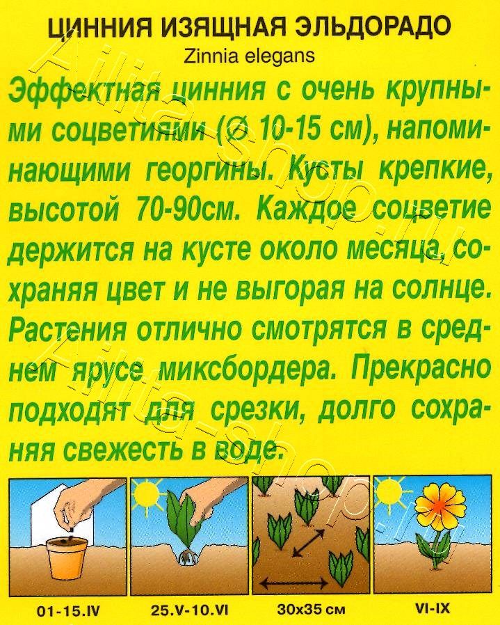 Цинния Эльдорадо 0,3г