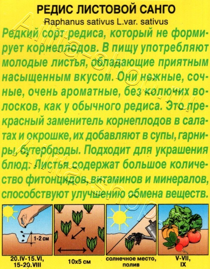 Редис листовой Санго 1г