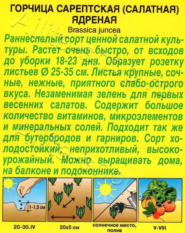 Горчица салатная Ядреная 0,5г