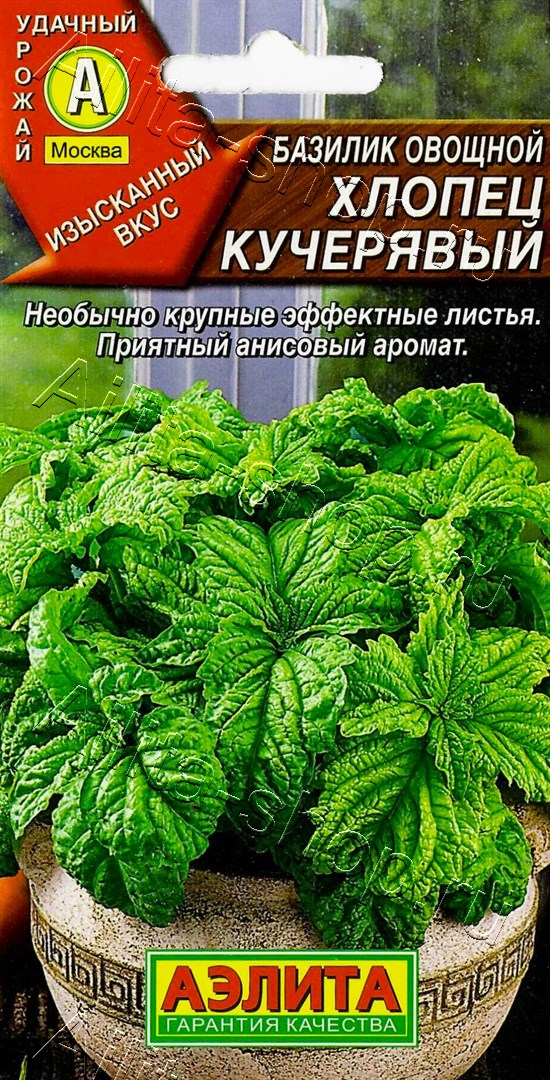 Базилик овощной Хлопец кучерявый 0,2г