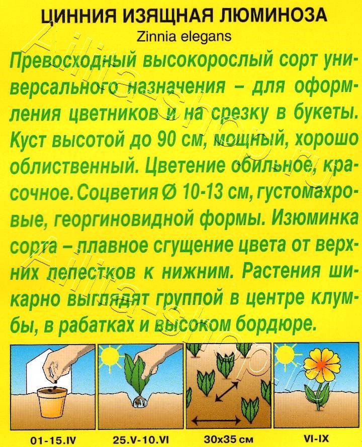 Цинния Люминоза георгиновидная 0,3г