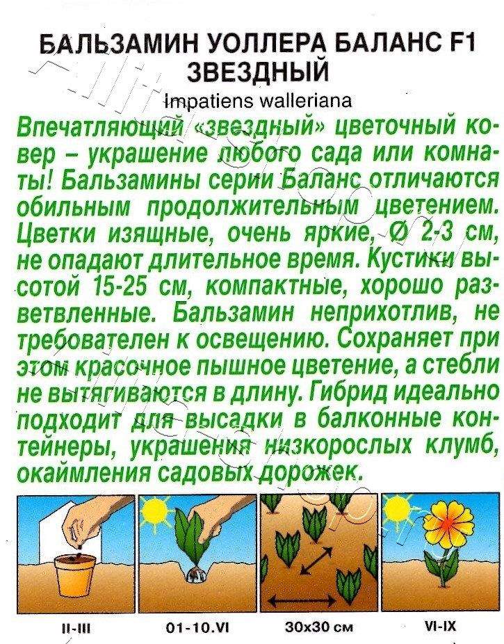 Бальзамин Баланс F1 звездный 7шт