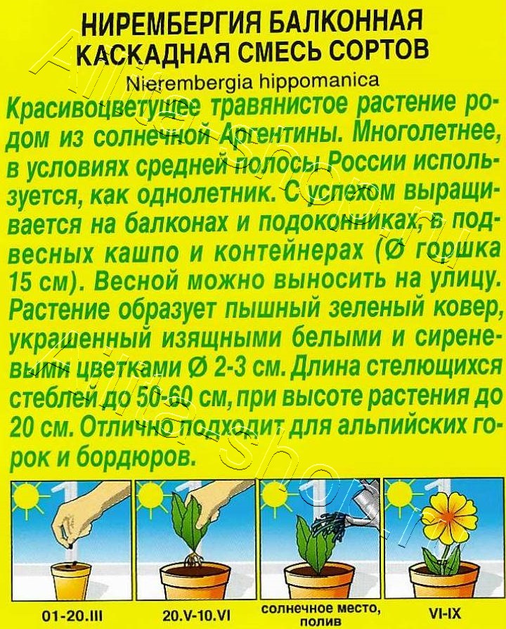 Нирембергия Балконная каскадная, смесь сортов 0,02г