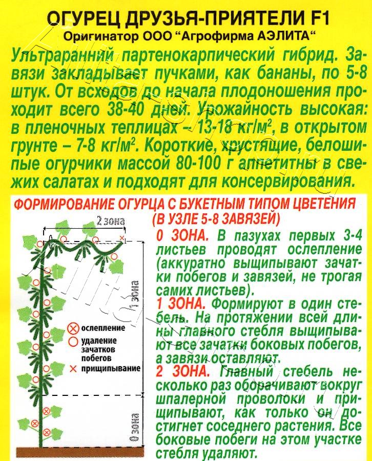 Огурец Друзья-приятели F1 10шт