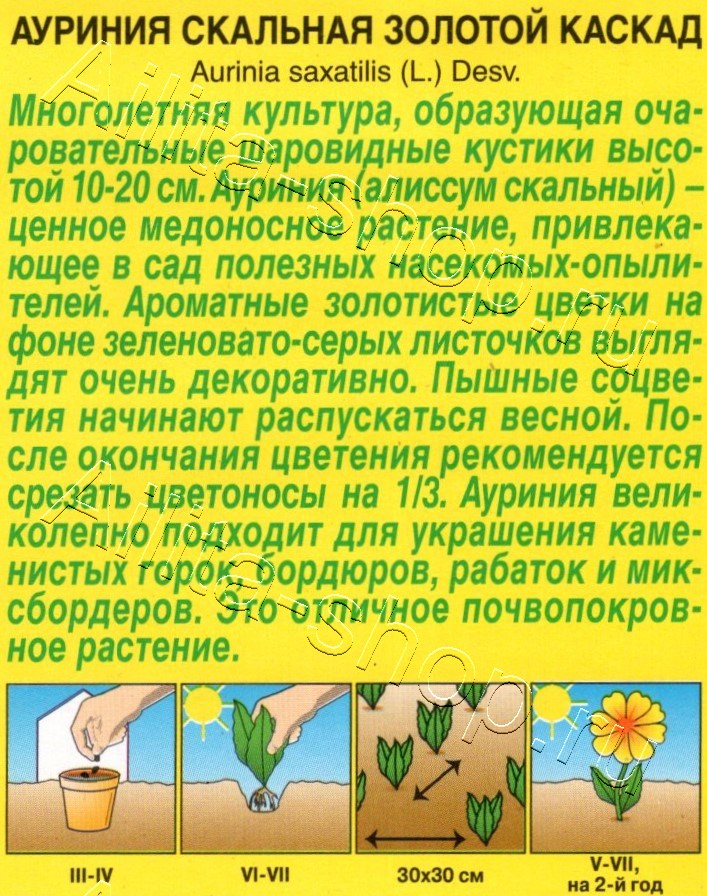 Ауриния скальная Золотой каскад 0,05г