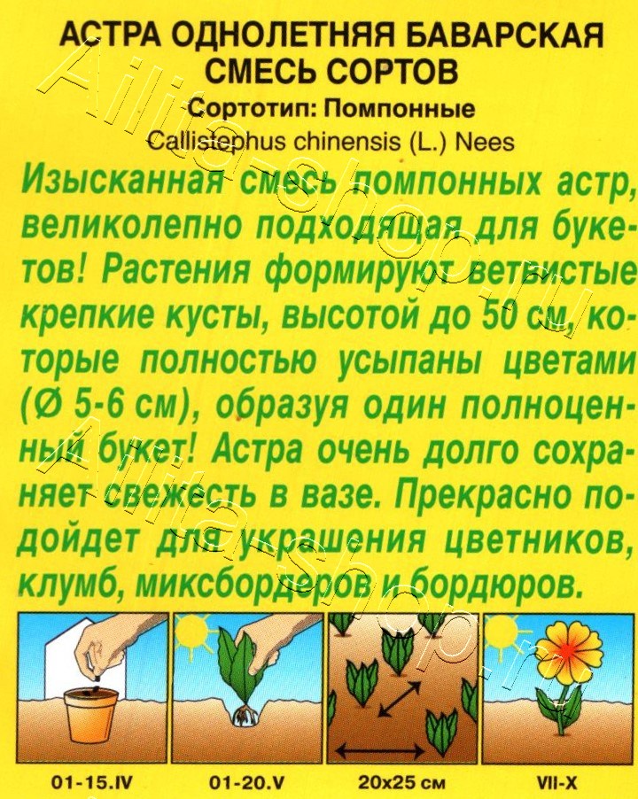 Астра Баварская, смесь сортов 0,2г