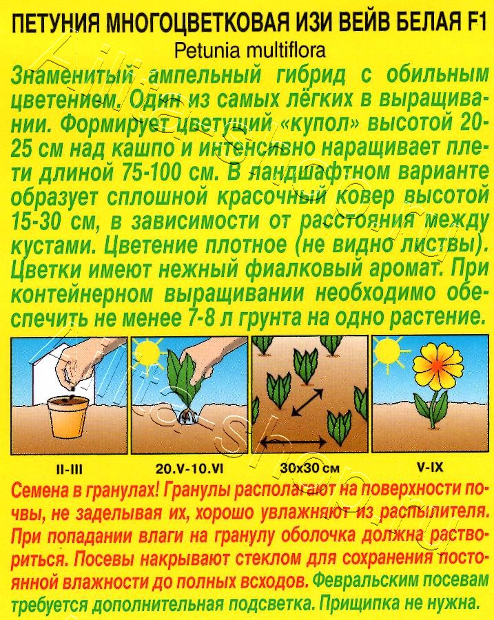 Петуния Изи вейв белая F1 4шт