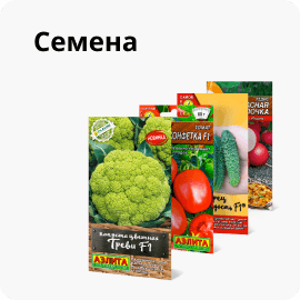Семена