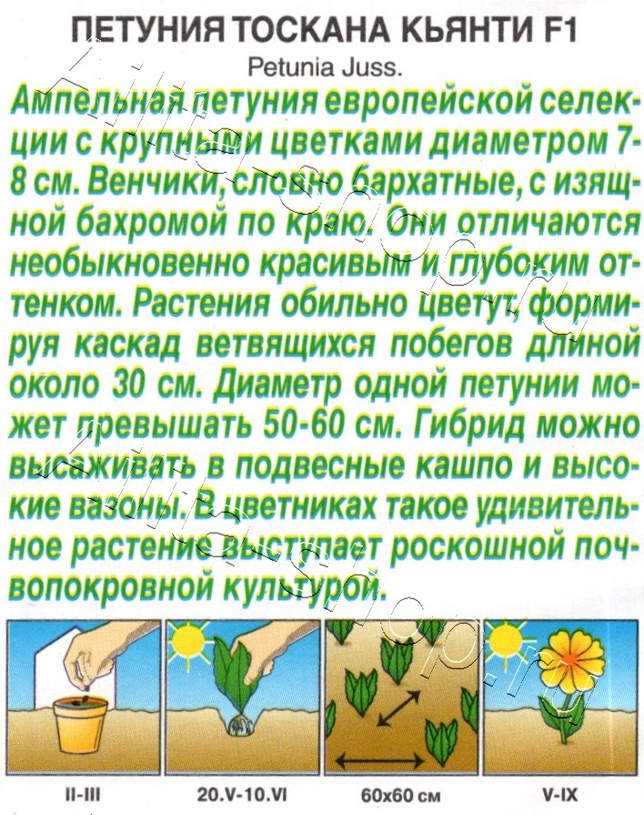 Петуния Тоскана кьянти F1 крупноцветковая 5шт