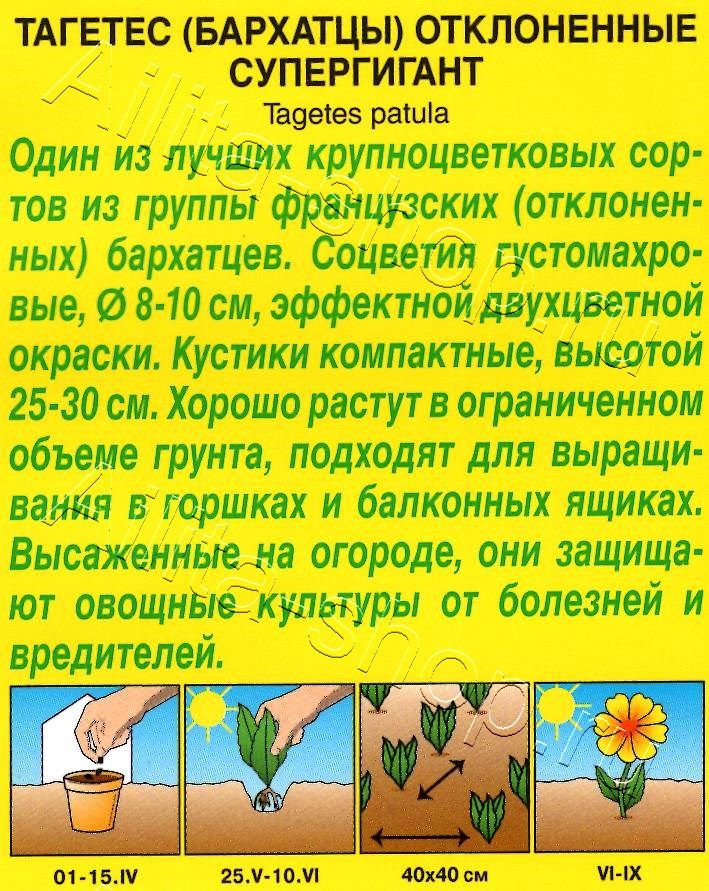 Бархатцы Супергигант отклоненные 0,3г