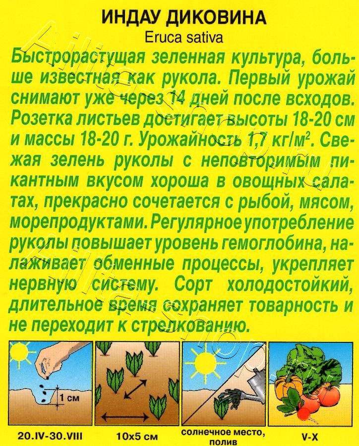 Индау (руккола) Диковина 0,3г