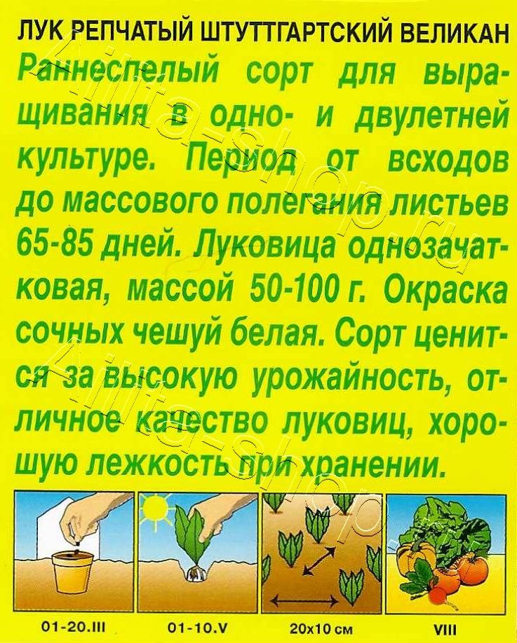 Лук репчатый Штуттгартский великан 1г