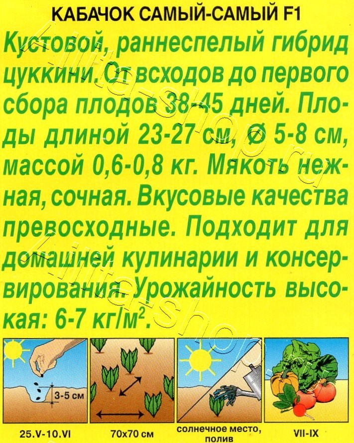 Кабачок цуккини Самый-самый F1 5шт