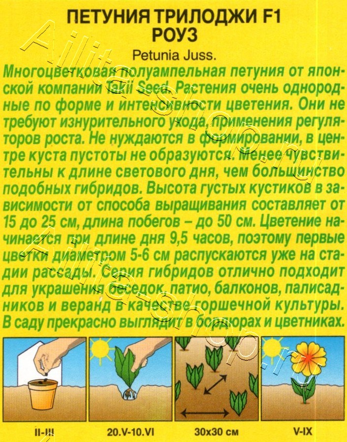 Петуния Трилоджи F1 роуз полуамельная 5шт