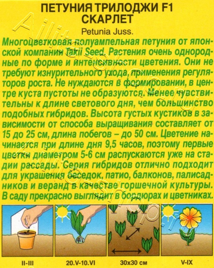 Петуния Трилоджи F1 скарлет полуампельная 5шт