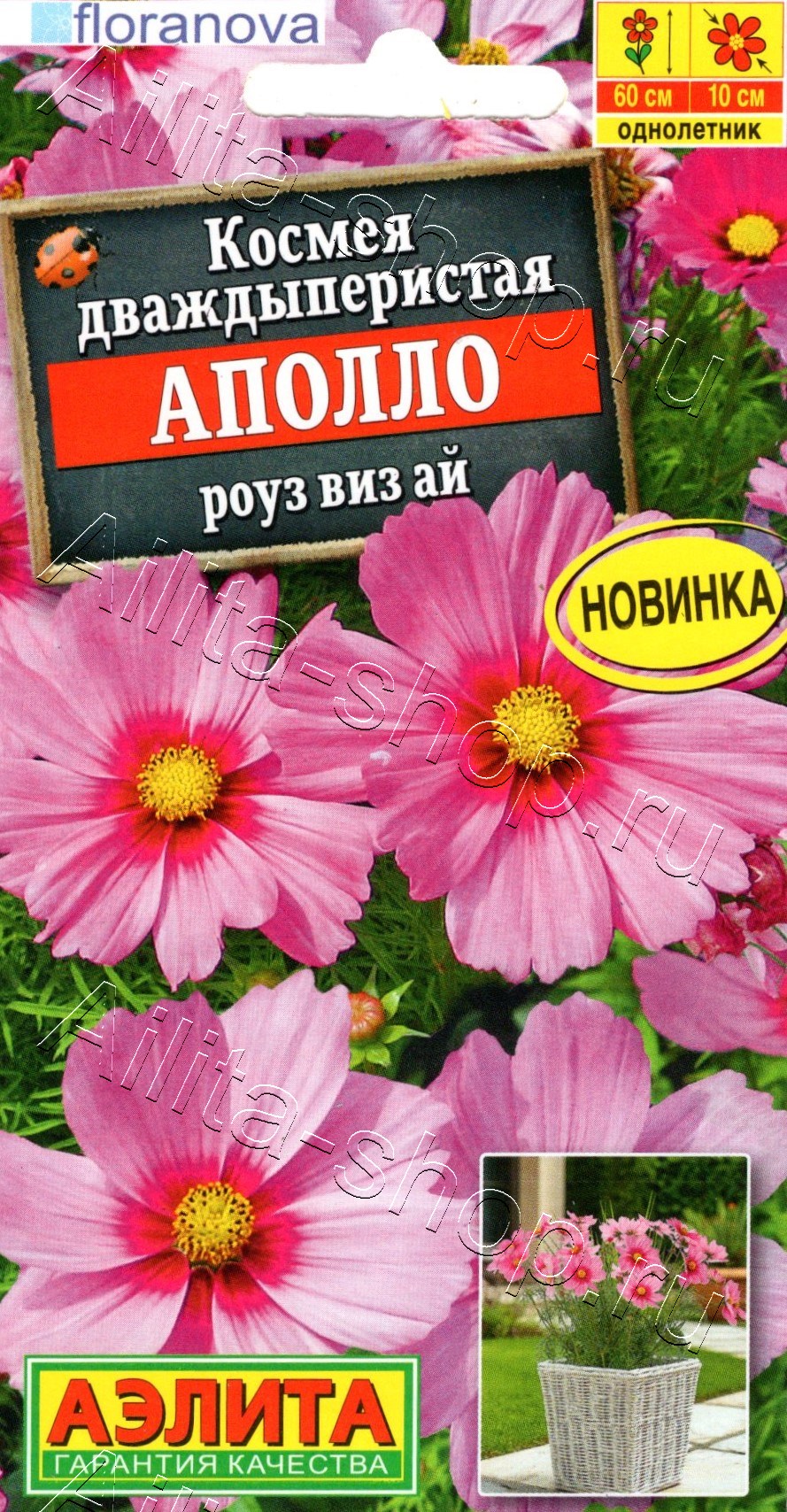 Космея Аполло роуз виз ай 5шт