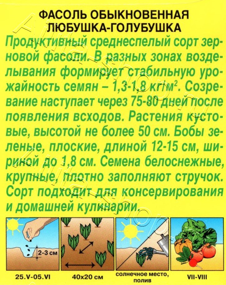 Фасоль обыкновенная Любушка-голубушка 5г