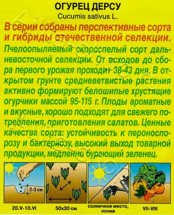 Огурец Дерсу 10шт